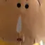 ぽんぽちのプロフィール画像