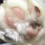 さこのプロフィール画像