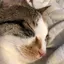 Yukaのプロフィール画像
