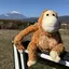 たこらのプロフィール画像