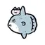ゆちゃのプロフィール画像