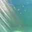 まきのプロフィール画像