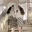 うなのプロフィール画像