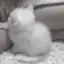 さっちゃんのプロフィール画像