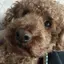 Miのプロフィール画像