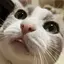 きよのプロフィール画像