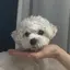 Mikaのプロフィール画像