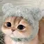 日菜穂のプロフィール画像
