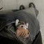 レモネードちゃんのプロフィール画像
