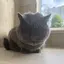 ざきのプロフィール画像