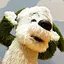 あおきのプロフィール画像