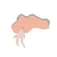 ayanaのプロフィール画像