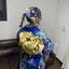 藍のプロフィール画像