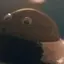ぷりんのプロフィール画像