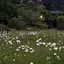 ゆきのプロフィール画像