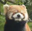 あやのんのプロフィール画像