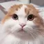 iのプロフィール画像