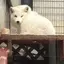 nのプロフィール画像