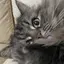 ゆりなのプロフィール画像