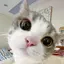 にゃのプロフィール画像