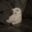 ふかのプロフィール画像