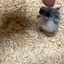 Uのプロフィール画像