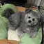 萌乃のプロフィール画像