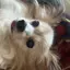 ナオのプロフィール画像