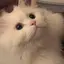 aのプロフィール画像