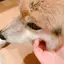Aaaのプロフィール画像