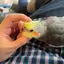 manaのプロフィール画像