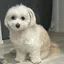 れみのプロフィール画像