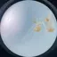 さのプロフィール画像