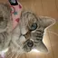 みあのプロフィール画像