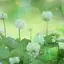 cloverのプロフィール画像