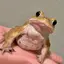 ひよりのプロフィール画像