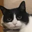 アメのプロフィール画像