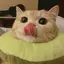 ここなのプロフィール画像