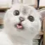 胃下垂のプロフィール画像