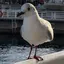 ミサのプロフィール画像