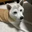sunmioのプロフィール画像