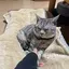 れぺんのプロフィール画像