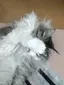 そらまめのプロフィール画像