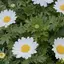 ひなのプロフィール画像