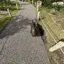 kanaのプロフィール画像
