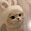 𝖒のプロフィール画像