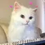 じゅりのプロフィール画像