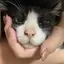 みんごのプロフィール画像