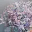 sor__☆のプロフィール画像