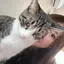 まりんのプロフィール画像